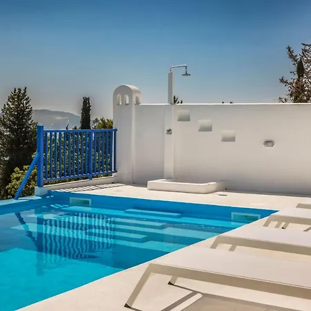 Camelia-iris Sunset Willa *