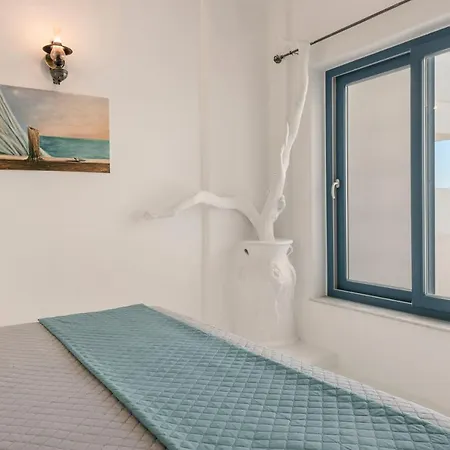 Camelia-iris Sunset Willa