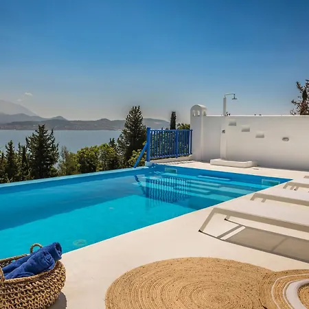 Willa Camelia-iris Sunset Lépedha