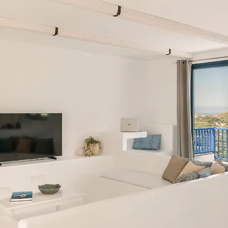 Camelia-iris Sunset Lépedha