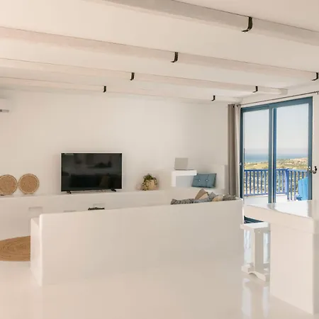 Willa Camelia-iris Sunset *