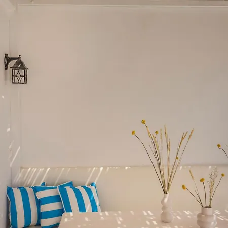 Willa Camelia-iris Sunset Lépedha