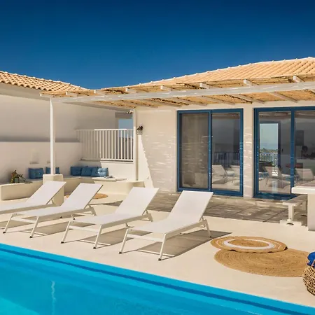 Camelia-iris Sunset Willa *