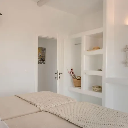 Camelia-iris Sunset Lépeda