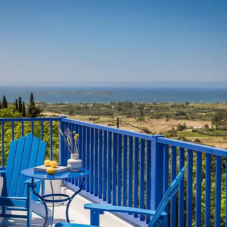 Camelia-iris Sunset Willa *