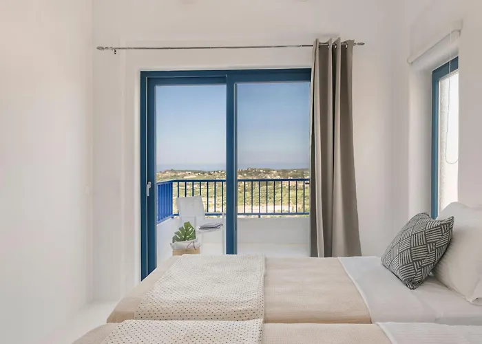 Camelia-iris Sunset *