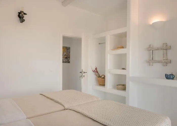 Camelia-iris Sunset Λέπεδα