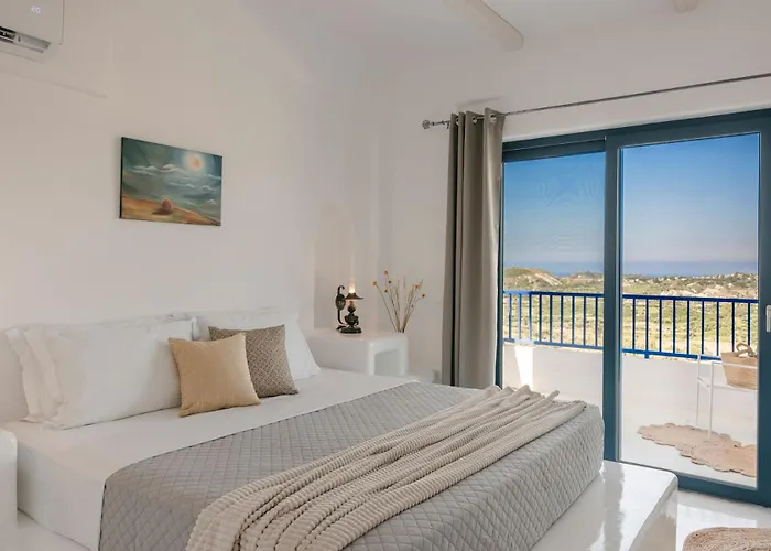 Camelia-iris Sunset *