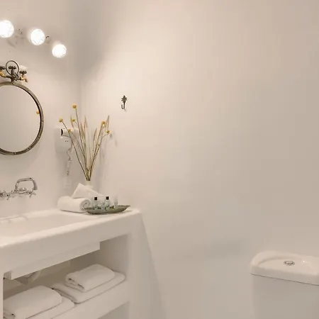 Camelia-iris Sunset Vila Lépedha